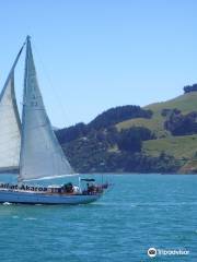 Akaroa Sailing Cruises