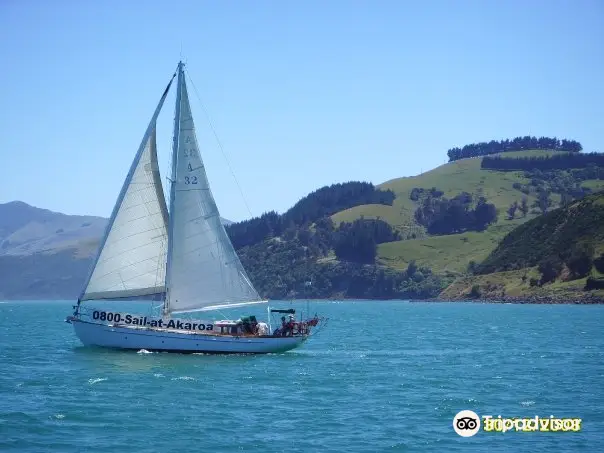 Akaroa Sailing Cruises