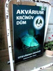 Akvarium Museum