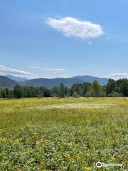 Heaven Hills Trails