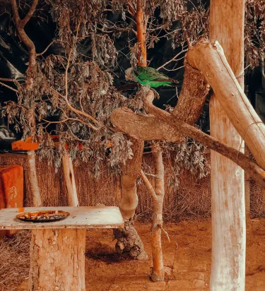 Twala Trust Animal Sanctuary