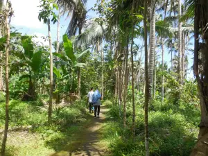 Bayugin Falls