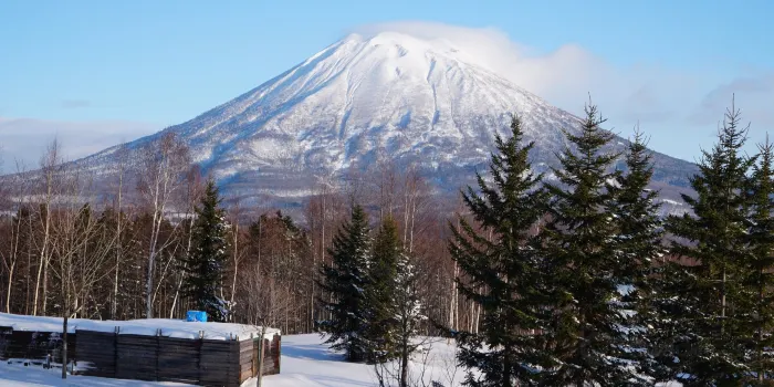 Niseko Annupuri Kokusai Ski Area image 2