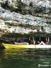 Lakeshore Adventures Kayak Tours and Rentals