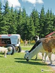 Wai ariki Farm Park, Cafe & Gallery