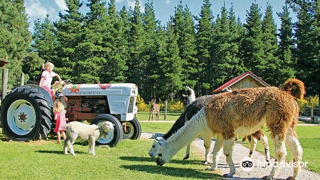 Wai ariki Farm Park, Cafe & Gallery