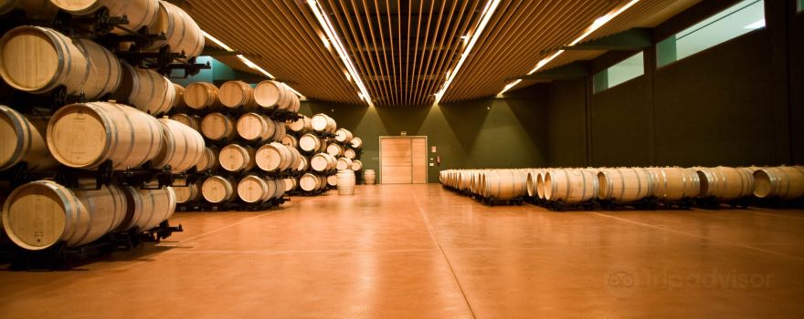 Bodegas Obalo