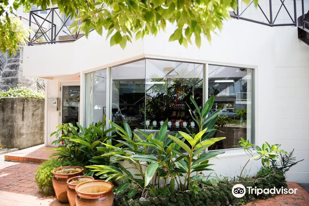 2_Okinawa Tea Factory