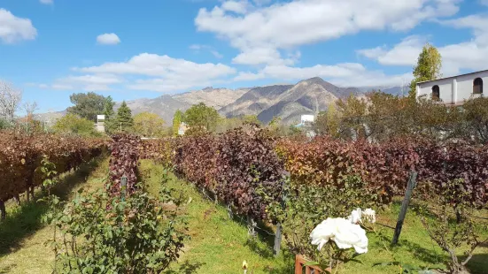 Bodega Domingo Hermanos