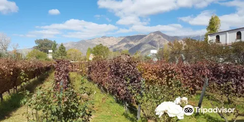 Bodega Domingo Hermanos