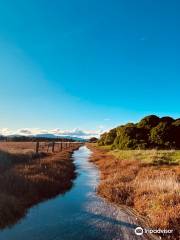 Wairau Lagoons Walkway