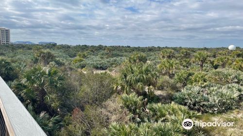 Smyrna Dunes Park