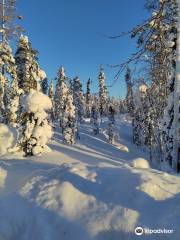 Lapland Safaris Yllas