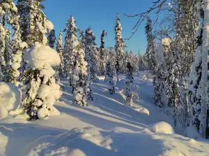 Lapland Safaris Yllas