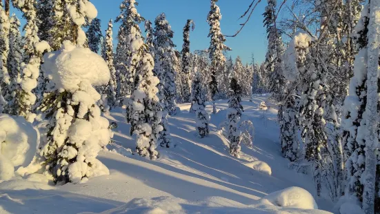 Lapland Safaris Yllas