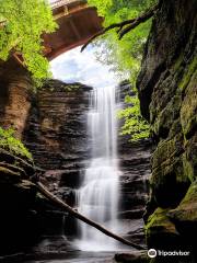 Matthiessen State Park