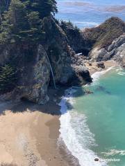 Big Sur Guides and Hiking
