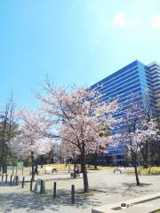 中野区立中野四季の森公園