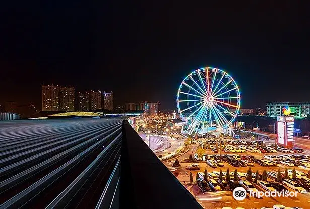 Ferris wheel Happy Eye