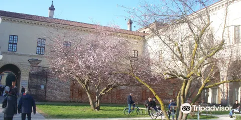 Castello Mediceo