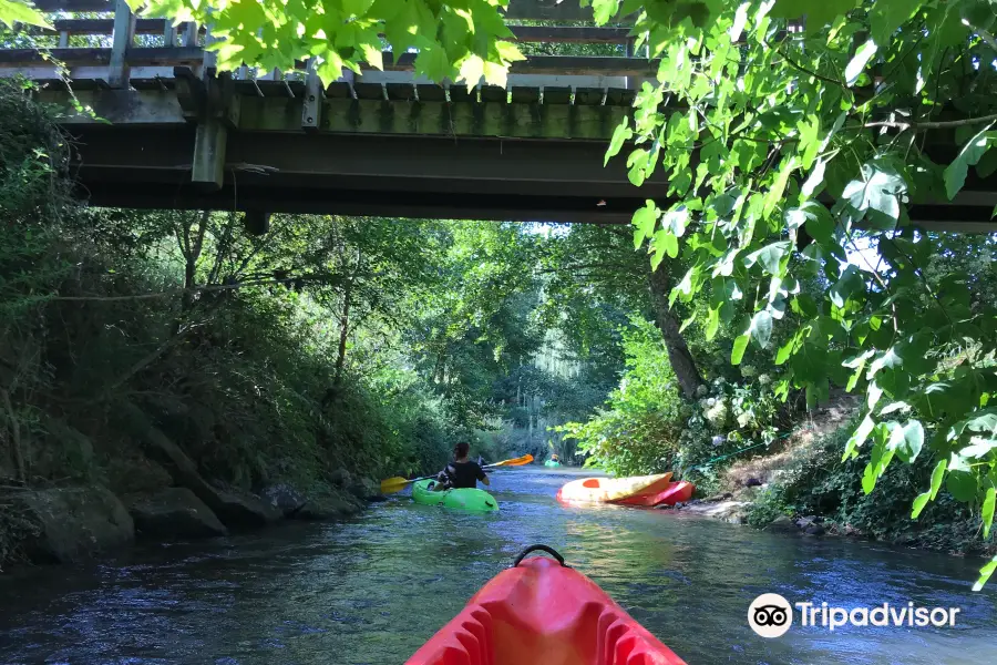 Jungle Canoe