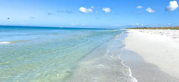 Captiva