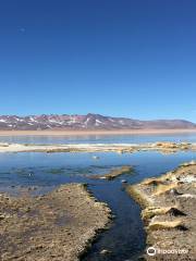 Aguas Termales de Polques