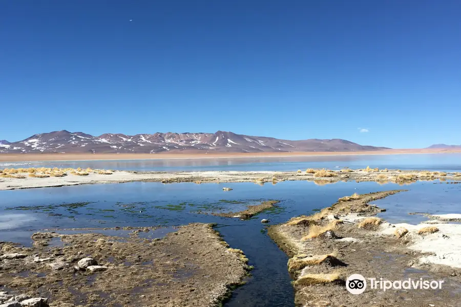 Aguas Termales de Polques