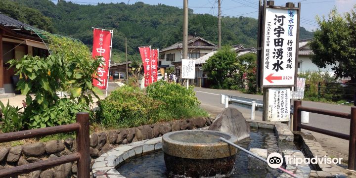 泉水湧水(竹田湧水群)