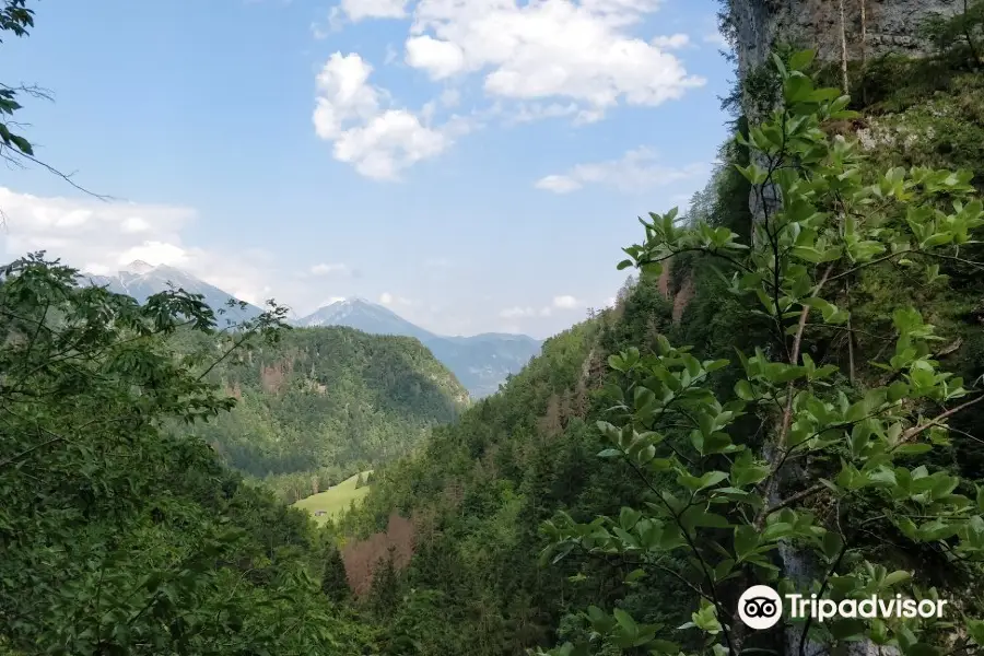 Pokljuka Gorge