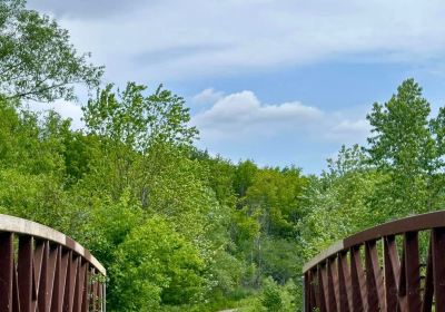 Medway Valley Heritage Forest