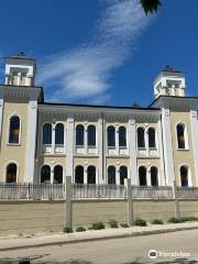 Vidin synagogue