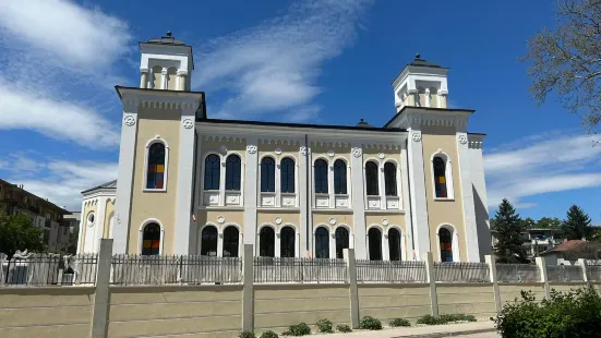 Vidin synagogue