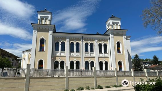 The Cultural centrе "Jules Pascin" / Vidin Synagogue