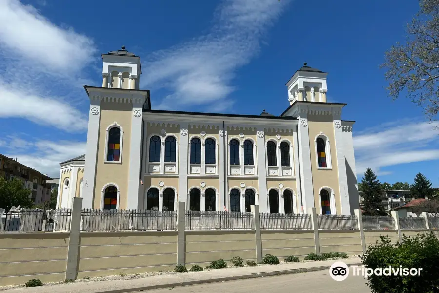 Vidin synagogue
