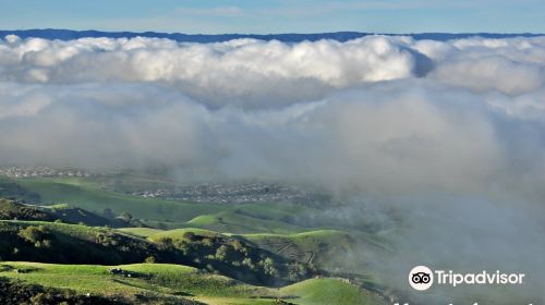 Mission Peak Regional Preserve