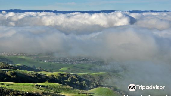 Mission Peak Regional Preserve