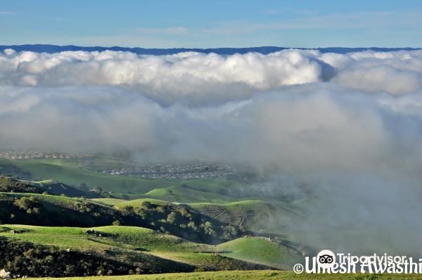 Mission Peak Regional Preserve