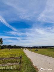 San Felasco Hammock Preserve State Park