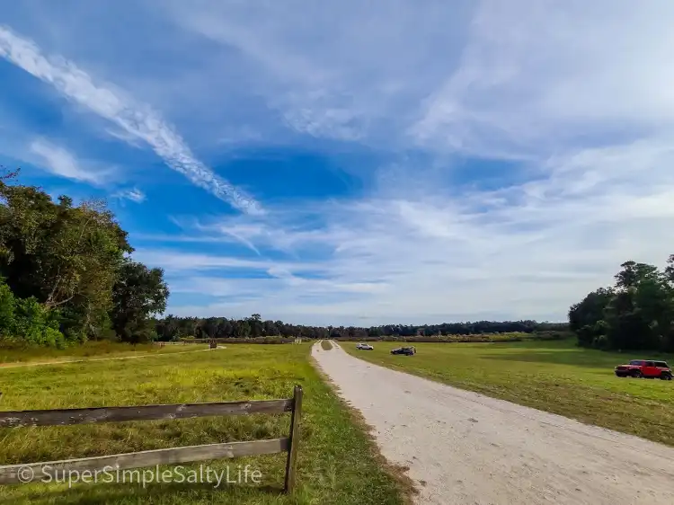 Alachua