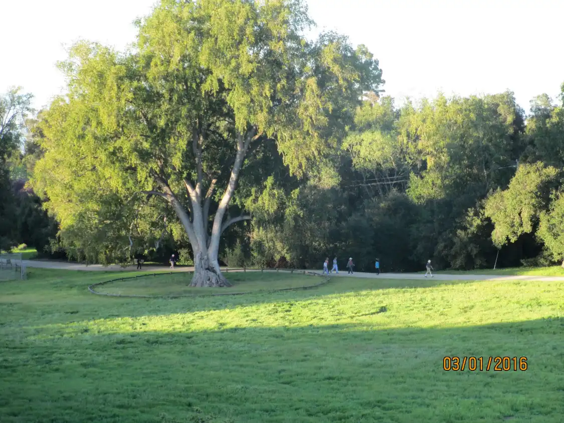 Hotels in der Nähe von Rancho San Antonio County Park