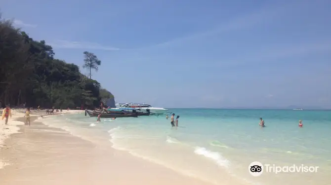 1_เกาะไม้ไผ่