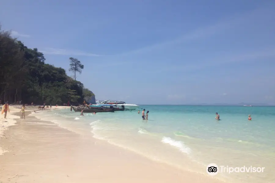 Bamboo Island