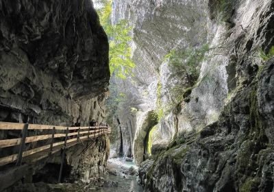 Rappenlochschlucht