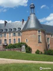 Castle of Saint-Fargeau