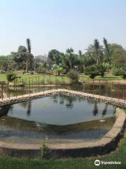 Sarkaria Cactus Garden