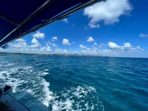 Blue Water Diving Center