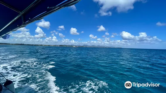 Blue Water Diving Centre