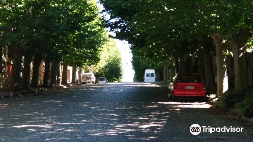 Avenida General Flores