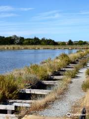 Parco della Salina di Cervia